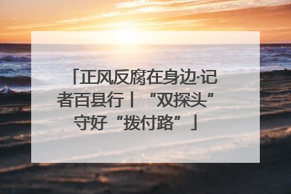 正风反腐在身边·记者百县行丨“双探头”守好“拨付路”