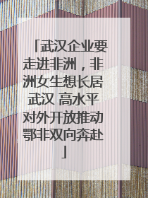 武汉企业要走进非洲，非洲女生想长居武汉 高水平对外开放推动鄂非双向奔赴