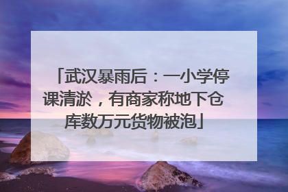 武汉暴雨后：一小学停课清淤，有商家称地下仓库数万元货物被泡