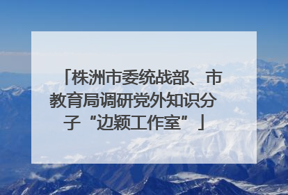 株洲市委统战部、市教育局调研党外知识分子“边颖工作室”