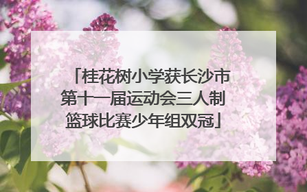 桂花树小学获长沙市第十一届运动会三人制篮球比赛少年组双冠