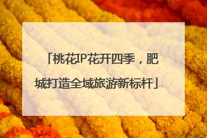 桃花IP花开四季，肥城打造全域旅游新标杆