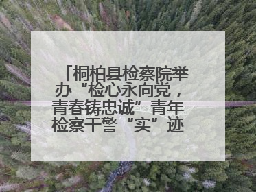 桐柏县检察院举办“检心永向党，青春铸忠诚”青年检察干警“实”迹展示活动