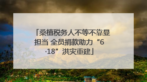 桑植税务人不等不靠显担当 全员捐款助力“6·18”洪灾重建