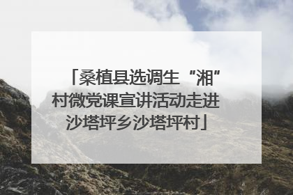 桑植县选调生“湘”村微党课宣讲活动走进沙塔坪乡沙塔坪村