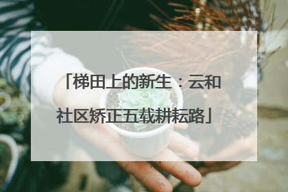 梯田上的新生：云和社区矫正五载耕耘路
