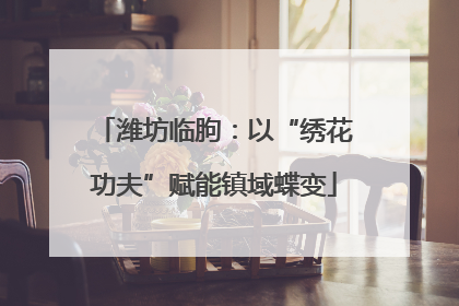 潍坊临朐：以“绣花功夫”赋能镇域蝶变