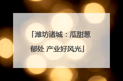 潍坊诸城：瓜甜葱郁处 产业好风光