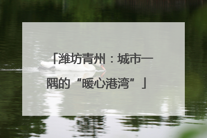 潍坊青州：城市一隅的“暖心港湾”