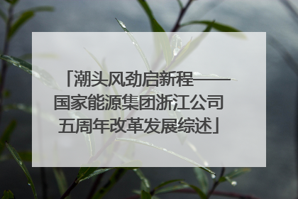 潮头风劲启新程——国家能源集团浙江公司五周年改革发展综述