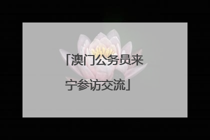 澳门公务员来宁参访交流