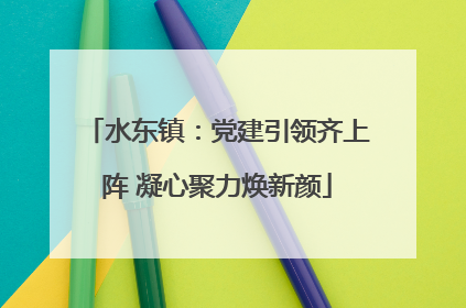 水东镇：党建引领齐上阵 凝心聚力焕新颜
