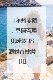 永州零陵：早稻管理见成效 稻浪飘香穗满田