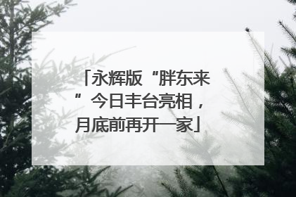 永辉版“胖东来”今日丰台亮相，月底前再开一家