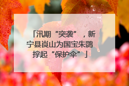 汛期“突袭”，新宁县崀山为国宝朱鹮撑起“保护伞”