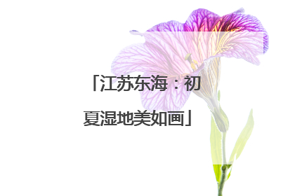 江苏东海：初夏湿地美如画