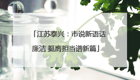 江苏泰兴：市说新语话廉洁 挺膺担当谱新篇