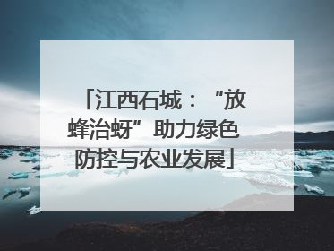 江西石城：“放蜂治蚜”助力绿色防控与农业发展