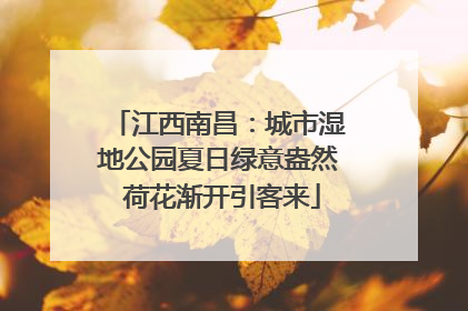 江西南昌：城市湿地公园夏日绿意盎然 荷花渐开引客来
