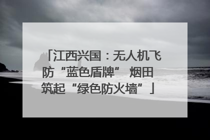 江西兴国：无人机飞防“蓝色盾牌” 烟田筑起“绿色防火墙”