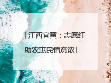 江西宜黄：志愿红助农惠民情意浓