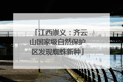 江西崇义：齐云山国家级自然保护区发现蜘蛛新种