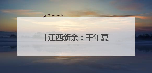江西新余：千年夏布一支独“绣”