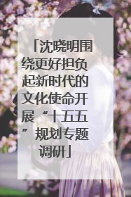 沈晓明围绕更好担负起新时代的文化使命开展“十五五”规划专题调研