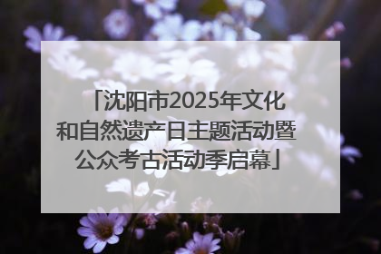 沈阳市2025年文化和自然遗产日主题活动暨公众考古活动季启幕