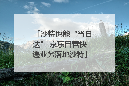 沙特也能“当日达” 京东自营快递业务落地沙特