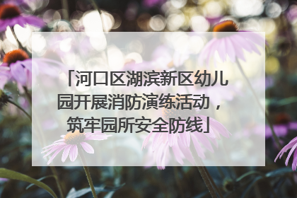河口区湖滨新区幼儿园开展消防演练活动，筑牢园所安全防线