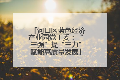 河口区蓝色经济产业园党工委：“三强”提“三力”赋能高质量发展