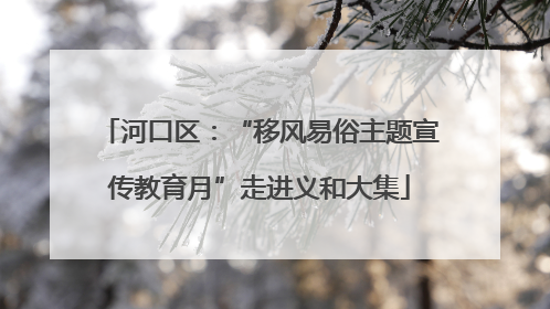 河口区：“移风易俗主题宣传教育月”走进义和大集