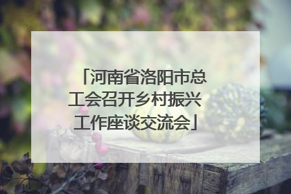 河南省洛阳市总工会召开乡村振兴工作座谈交流会