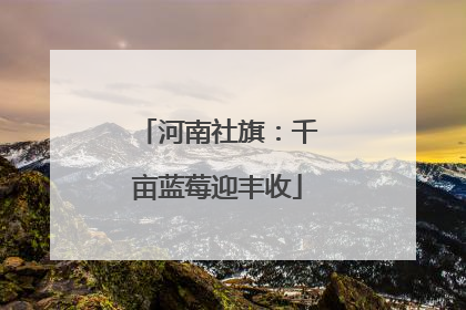 河南社旗：千亩蓝莓迎丰收