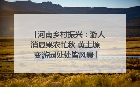 河南乡村振兴：游人消夏果农忙秋 黄土塬变游园处处皆风景