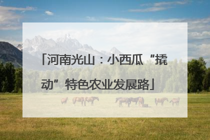 河南光山：小西瓜“撬动”特色农业发展路