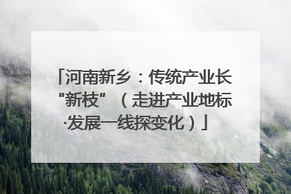 河南新乡：传统产业长“新枝”（走进产业地标·发展一线探变化）