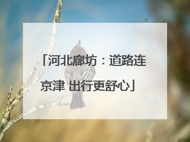 河北廊坊：道路连京津 出行更舒心