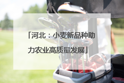 河北：小麦新品种助力农业高质量发展
