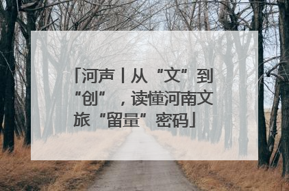 河声丨从“文”到“创”，读懂河南文旅“留量”密码
