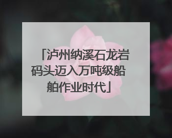 泸州纳溪石龙岩码头迈入万吨级船舶作业时代