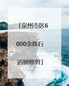 泉州市区6000余株行道树修剪