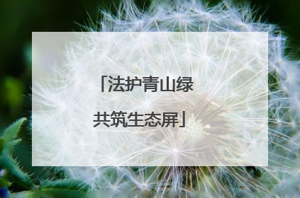 法护青山绿 共筑生态屏