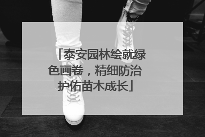 泰安园林绘就绿色画卷，精细防治护佑苗木成长