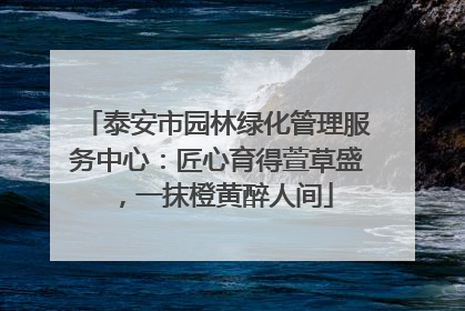 泰安市园林绿化管理服务中心：匠心育得萱草盛，一抹橙黄醉人间