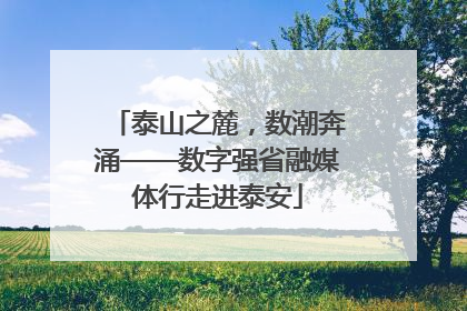 泰山之麓，数潮奔涌——数字强省融媒体行走进泰安