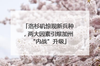 洛杉矶惊现新兵种，两大因素引爆加州“内战”升级