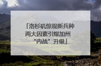 洛杉矶惊现新兵种 两大因素引爆加州“内战”升级