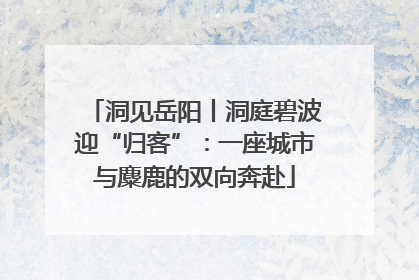 洞见岳阳丨洞庭碧波迎“归客”：一座城市与麋鹿的双向奔赴